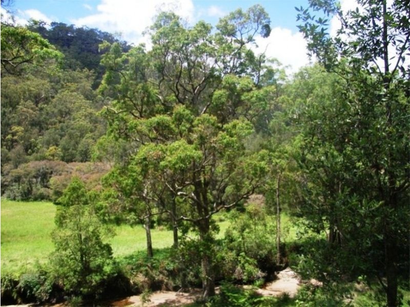 Lower Mangrove NSW 2250