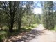 Lower Mangrove NSW 2250