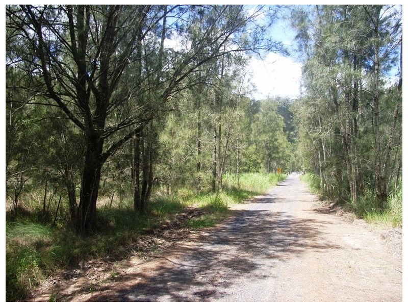 Lower Mangrove NSW 2250