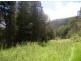 Lower Mangrove NSW 2250