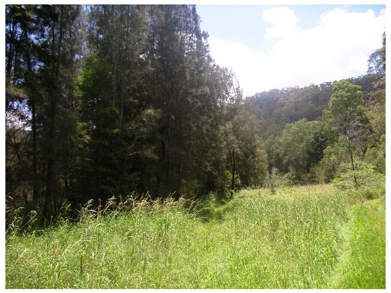 Lower Mangrove NSW 2250