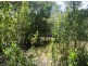 Lower Mangrove NSW 2250