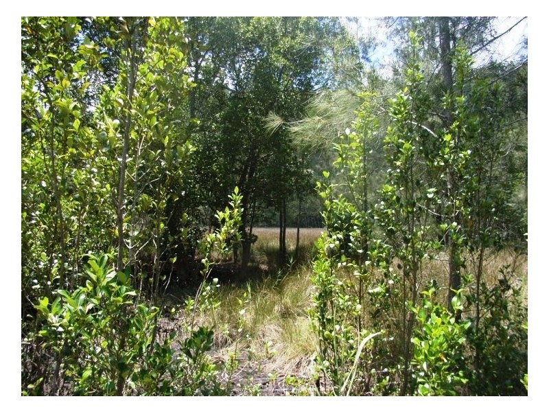 Lower Mangrove NSW 2250