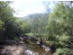 Lower Mangrove NSW 2250