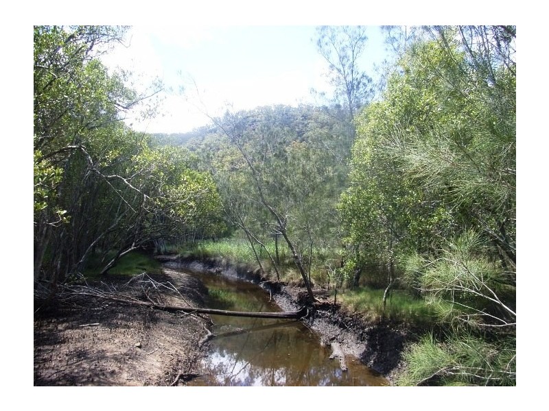 Lower Mangrove NSW 2250
