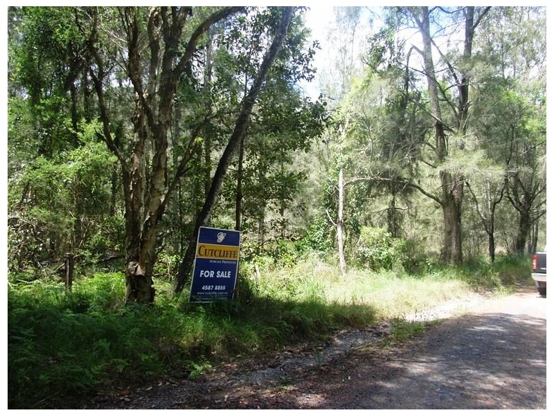 Lower Mangrove NSW 2250