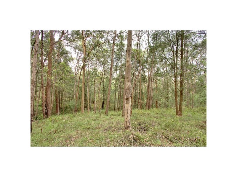 Kurrajong Hills NSW 2758