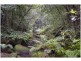 Kurrajong Hills NSW 2758