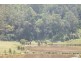 Upper Colo NSW 2756