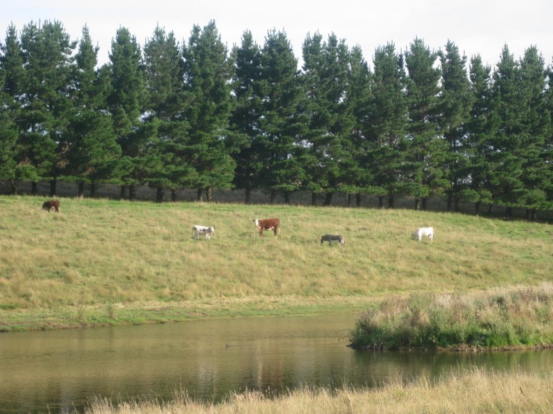 Meadow Flat NSW 2795