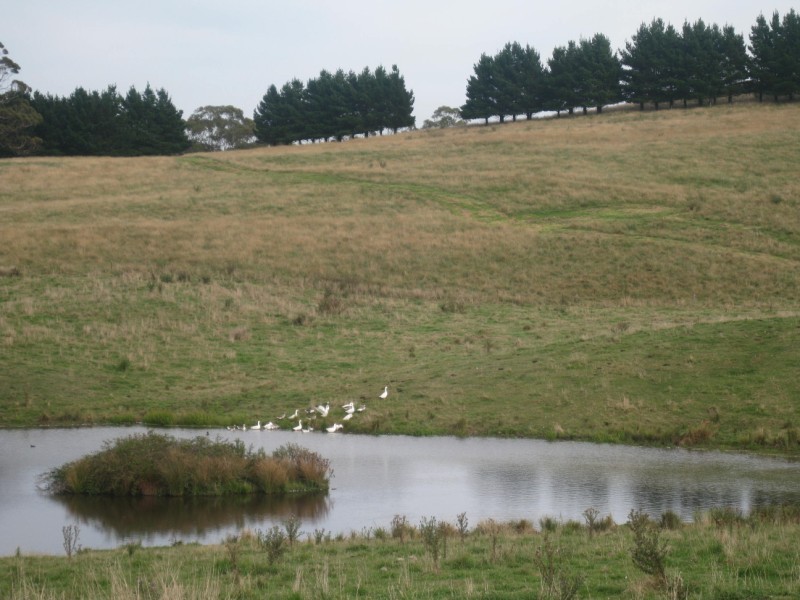 Meadow Flat NSW 2795