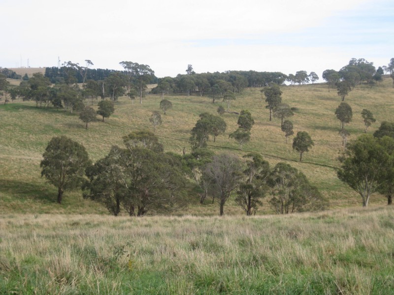 Meadow Flat NSW 2795