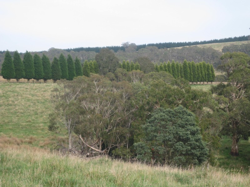Meadow Flat NSW 2795