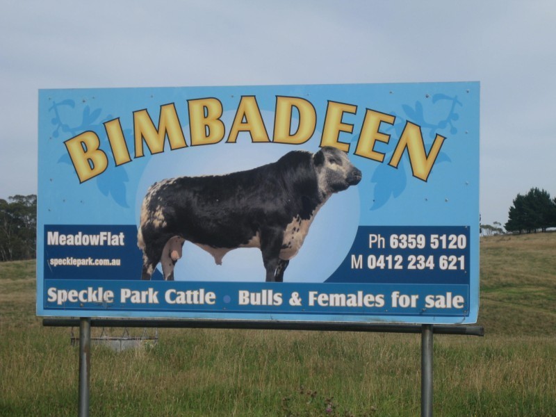 Meadow Flat NSW 2795