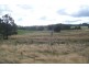 Oberon NSW 2787