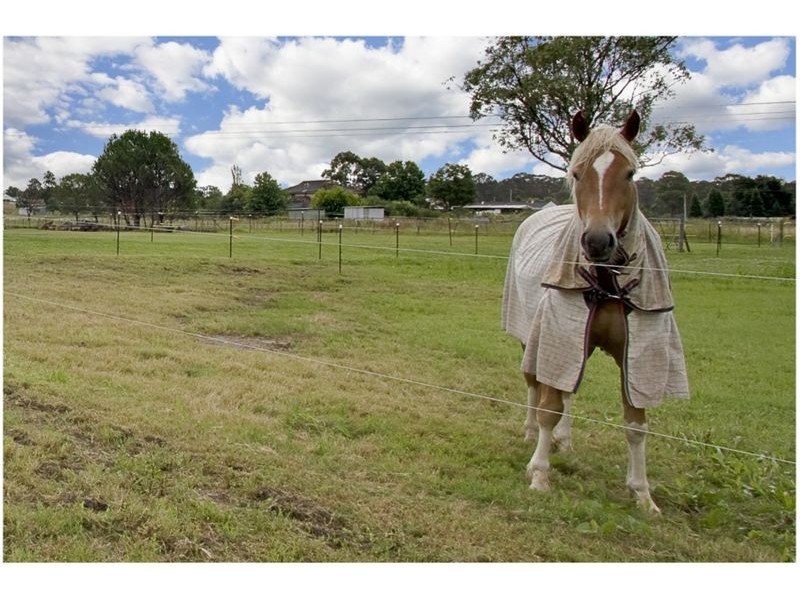 225 Carnarvon Road, Schofields NSW 2762