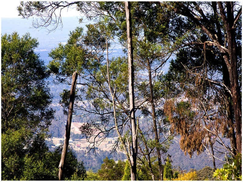 Kurrajong Heights NSW 2758