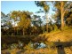 Putty NSW 2330