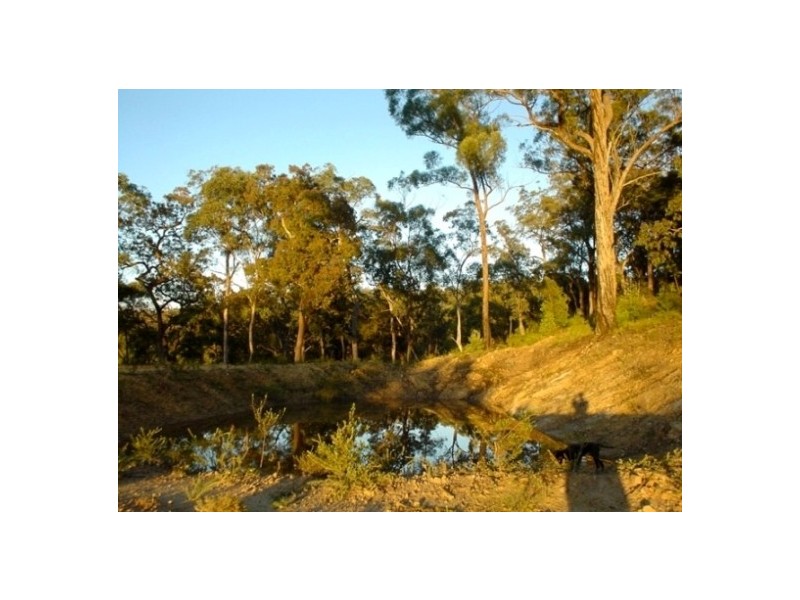 Putty NSW 2330