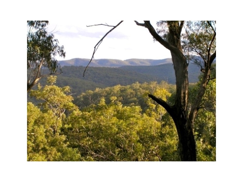 Putty NSW 2330