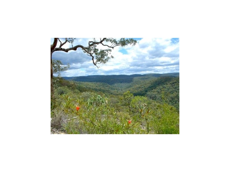 Putty NSW 2330