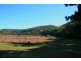 Lower Portland NSW 2756