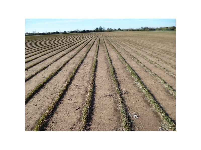 Windsor NSW 2756