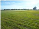 Windsor NSW 2756
