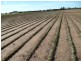 Windsor NSW 2756
