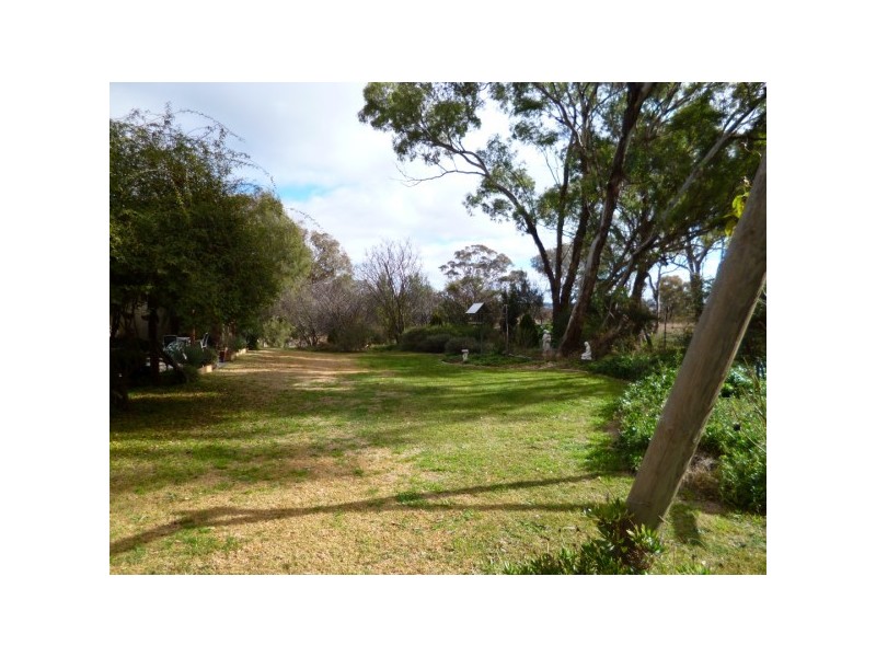 Forest Grove NSW 2795