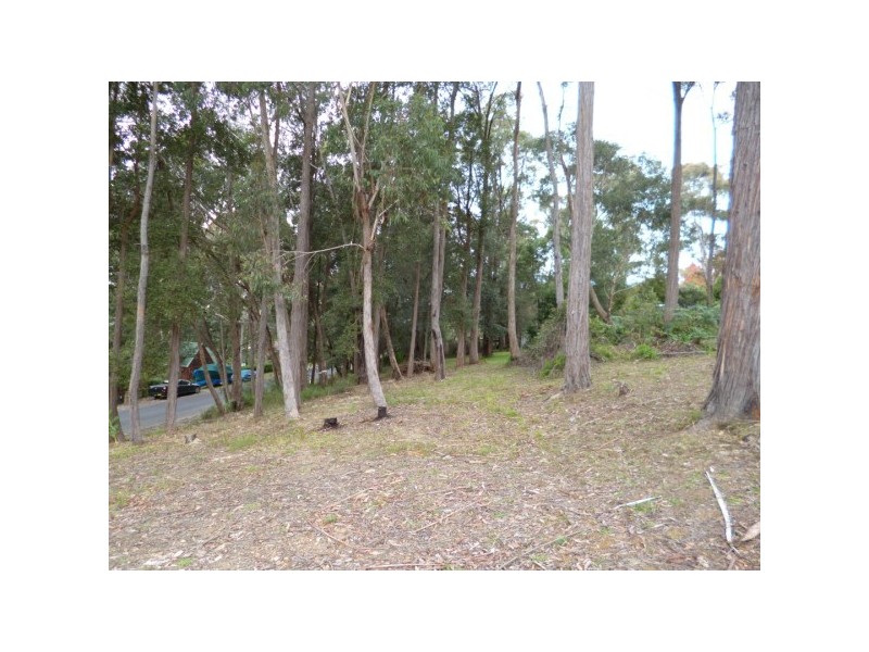 Kurrajong Heights NSW 2758