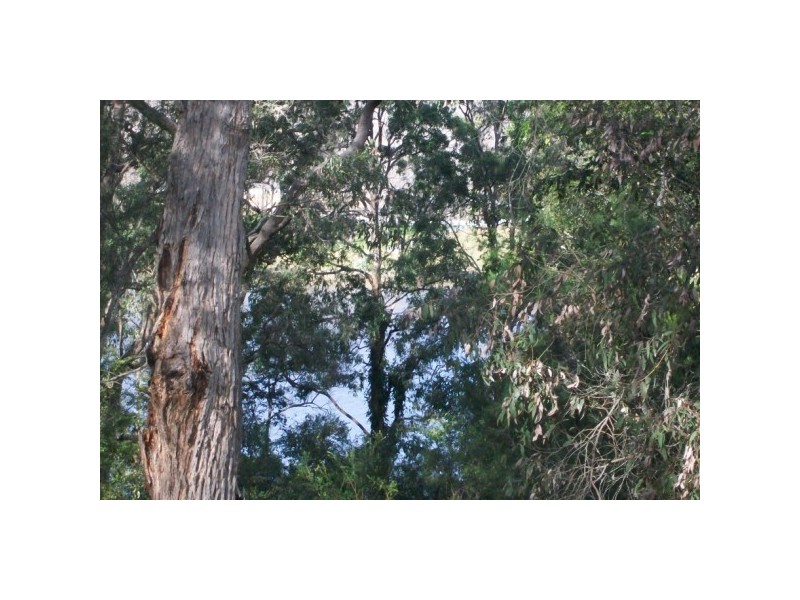 Lower Portland NSW 2756