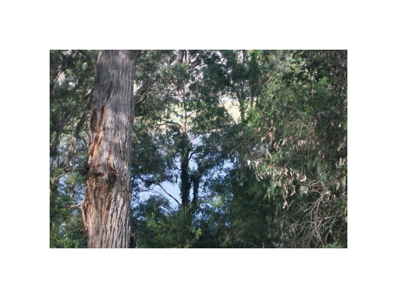 Lower Portland NSW 2756