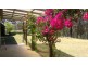 Colo Heights NSW 2756