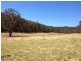 Putty NSW 2330