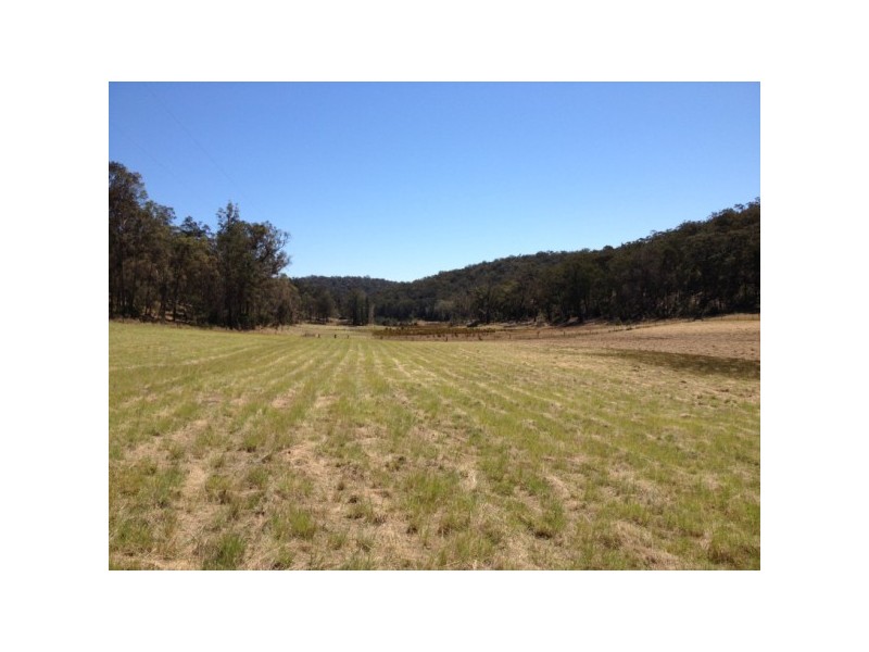 Putty NSW 2330