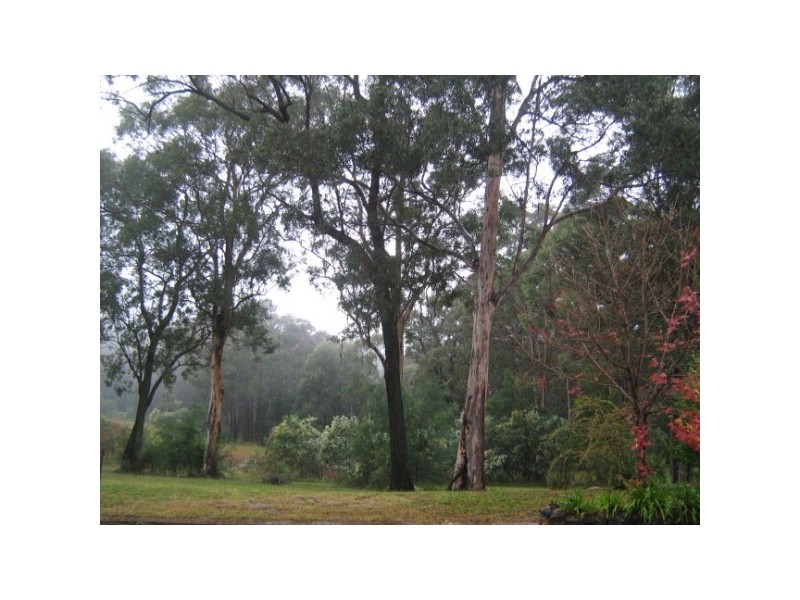 Colo Heights NSW 2756