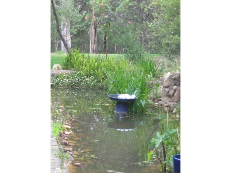 Colo Heights NSW 2756