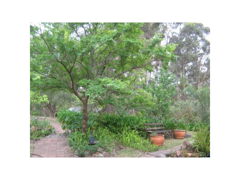 Colo Heights NSW 2756