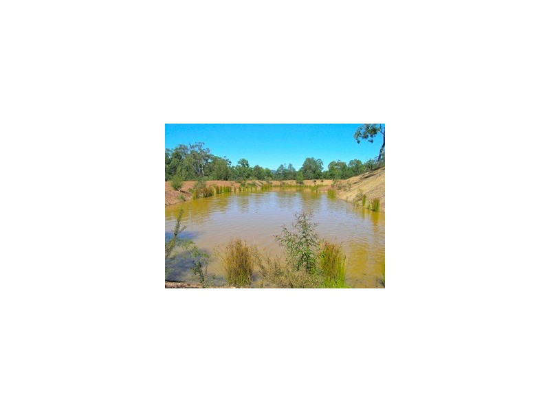 Putty NSW 2330