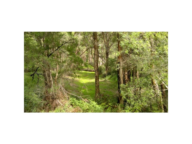 East Kurrajong NSW 2758