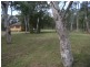 Londonderry NSW 2753