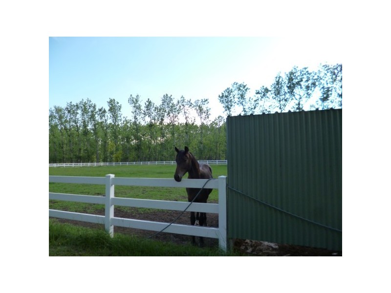 Sackville North NSW 2756