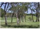 Wilberforce NSW 2756