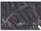 Blaxlands Ridge NSW 2758