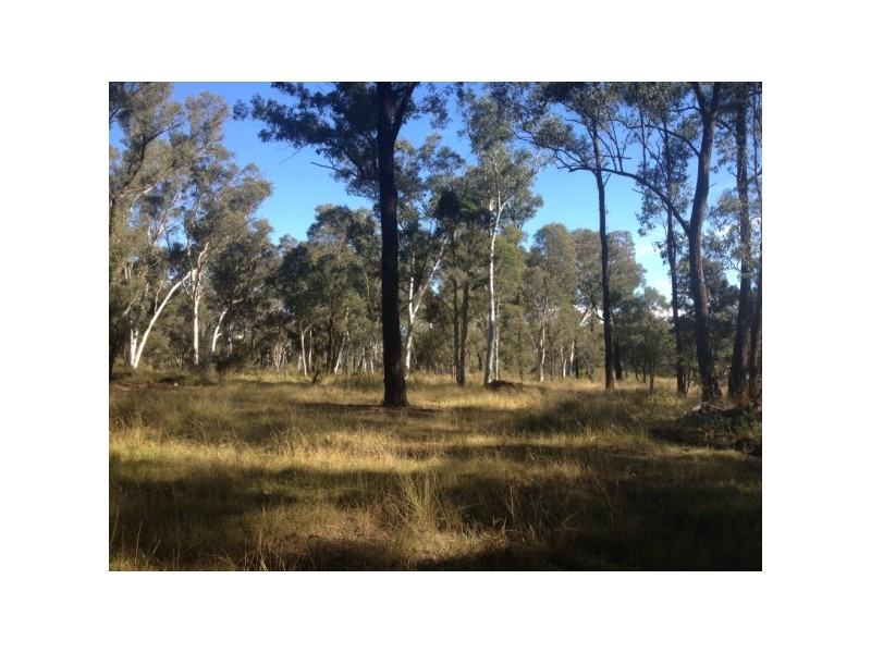 Lots 21, 22, 23 Tadmore Road, Cranebrook NSW 2749