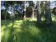 Kurrajong Heights NSW 2758