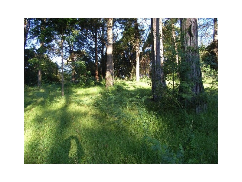 Kurrajong Heights NSW 2758