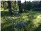 Kurrajong Heights NSW 2758