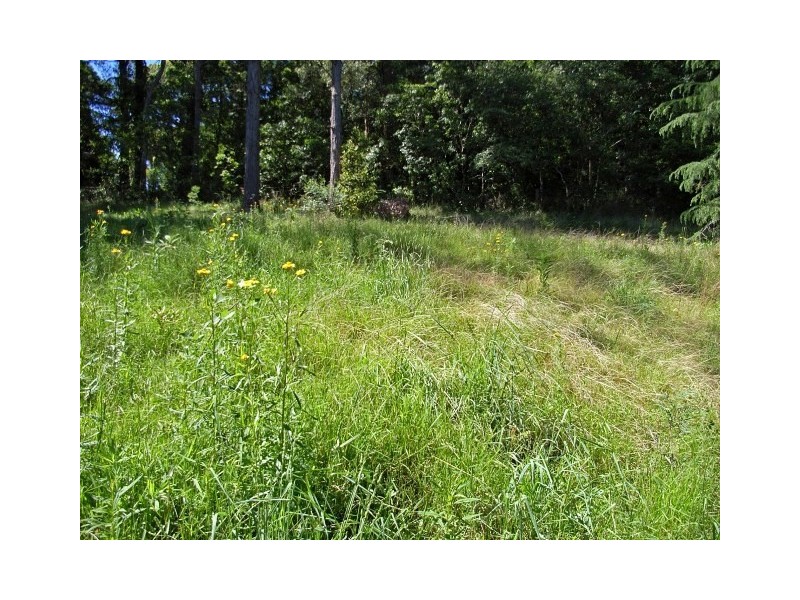 Kurrajong Heights NSW 2758